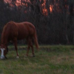 Meet your Posher, Cheryl